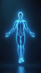 Aufkleber - Modern blue light technology displays human body anatomy. Digital futuristic medical interface scans health data, body infographic, science concept. Hologram design, abstract illustration. Medicine,