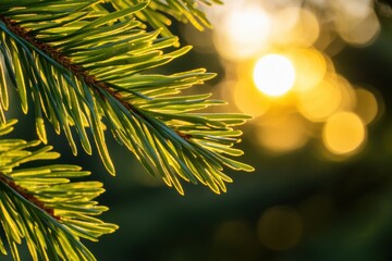 Poster - Ethereal Winter Wonderland Soft-Focus Pine Needles and Golden Bokeh - Festive Mindfulness Content for Seasonal Marketing and Wellness Inspiration