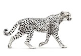 Creative line drawing of a cheetah in side view walking on a white background for artistic illustration