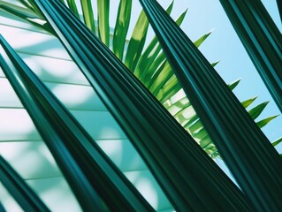 Poster - Botanical Minimalism Vibrant Palm Leaf Geometric Abstract - Sustainable Design Inspiration for Wellness Branding and Digital Creative Content
