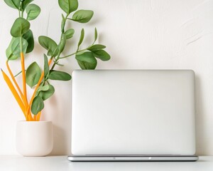 Poster - Minimalist Remote Work Sanctuary Sleek Laptop and Biophilic Plant Design - Modern Digital Workspace Aesthetic for Productivity and Wellness Optimization