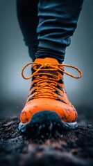 Poster - Urban Trail Performance High-Visibility Neon Orange Athletic Shoe in Rugged Terrain - Next-Gen Adventure Fitness Gear for Dynamic Outdoor Enthusiasts