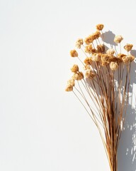 Aufkleber - Minimalist Botanical Elegance Dried Wildflower Arrangement Capturing Sustainable Design Trends for Modern Wellness Spaces and Creative Styling