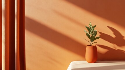 Poster - Minimalist Terracotta Serenity Organic Plant Design with Warm Sunlight Aesthetic - Modern Home Decor and Wellness Styling