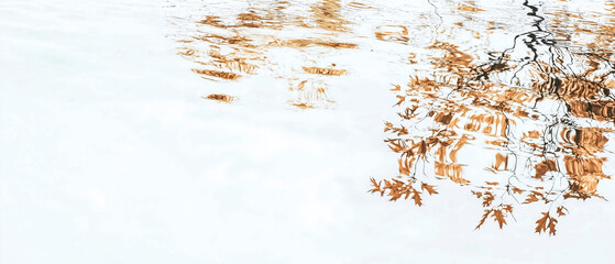 Leinwandbilder - Reflection of autumn leaves on calm water creates serene and tranquil scene