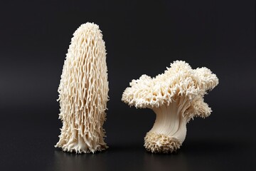 Poster - Unique white mushrooms with intricate textures against a black background.