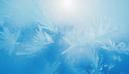 Poster - delicate frost patterns on frozen glass with an icy blue background, creating a natural winter texture for seasonal designs and wallpaper