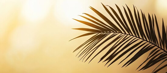 Poster - Silhouette of a palm leaf in dark green positioned left against a warm golden blurred background, ideal for mockups and presentations.