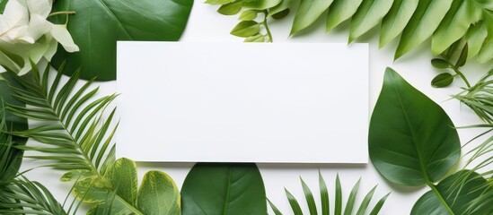 Leinwandbilder - Aerial view of assorted green leaves framing a blank white card centered for text, emphasizing a fresh and natural design theme.