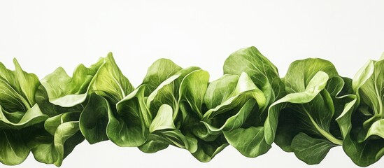 Poster - Vibrant green lettuce leaves flowing horizontally against a light backdrop, showcasing fresh textures and rich organic colors for culinary themes.