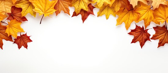 Poster - Autumn maple leaves in vibrant red and yellow create a frame on a clean white background perfect for copy space at the top of the image.