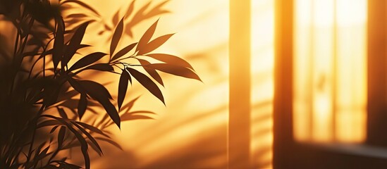 Fototapete - Silhouette of palm leaves in soft focus against a warm golden light background vertical layout ideal for mockups and presentations