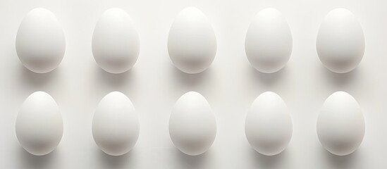 Leinwandbilder - Top view arrangement of ten white chicken eggs on a soft white background emphasizing simplicity and elegance with subtle shadows and highlights.