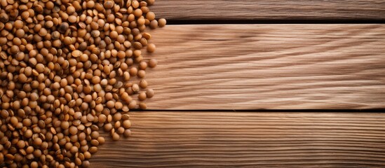 Poster - Raw lentils in a scattered arrangement on a light wooden table with ample negative space on the right for text placement and design elements.