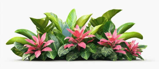 Poster - Tropical plant arrangement featuring vibrant pink flowers and lush green leaves on a white background with central focus and balanced composition