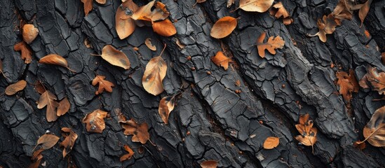 Poster - Textured dark tree bark background with scattered orange brown fallen leaves providing ample copy space on the right side of the image.