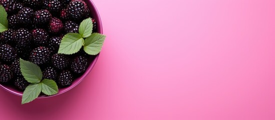 Poster - Ceramic bowl filled with blackberries and fresh mint leaves on a vibrant pink background with ample space for text on the right side