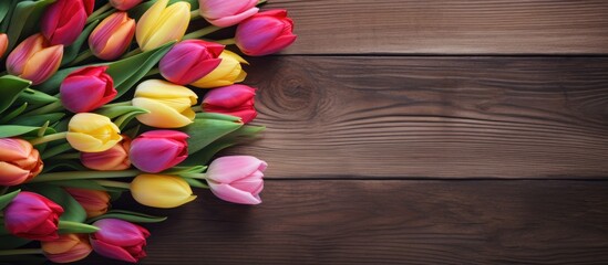 Poster - Colorful tulips in pink, yellow, and red arranged on a weathered wooden backdrop with blank space on the right for text or message placement.