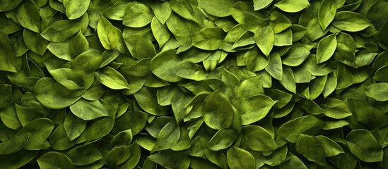 Leinwandbilder - Lush green leaves background with various shades of green densely layered for a vibrant natural texture perfect for eco-friendly designs