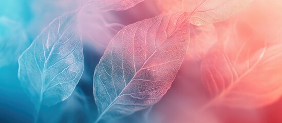 Fototapete - Delicate transparent leaves resembling ships float in a dreamy fog, set against a soft blue and pink gradient background, creating a romantic atmosphere.