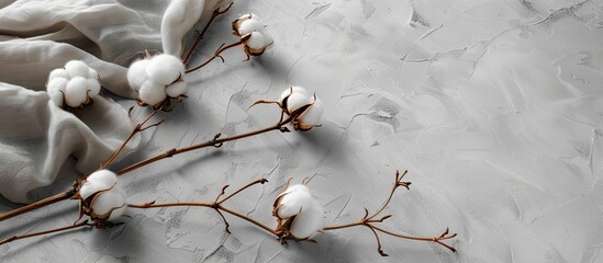 Leinwandbilder - Cotton branch on grey concrete with soft cotton fabric draped on the left for elegant copy space creating a serene and minimalistic composition