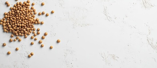 Poster - Organic raw soybeans scattered on a light textured background, positioned towards the left side, showcasing their natural beige color and texture.