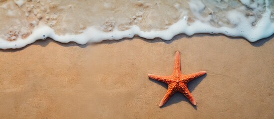 Poster - Starfish on sandy beach with gentle waves in background, vibrant orange color against soft beige sand, ample space for text placement above.