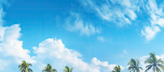 Aufkleber - Vibrant tropical summer sky with fluffy white clouds above lush green palm trees in the foreground creating ample copy space for text inclusion
