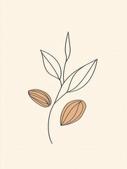 Poster - Modern abstract line art featuring a minimalist nut logo with almond and walnut designs