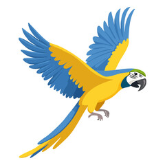  Parrot macaw yellow blue flying vector illustration. Exotic tropical bird on isolated background.