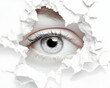 © Nur - Eye peering through torn paper, close-up view