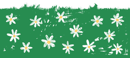 daisy flower field on grass crayon grunge texture kid doodle children childlike drawing background