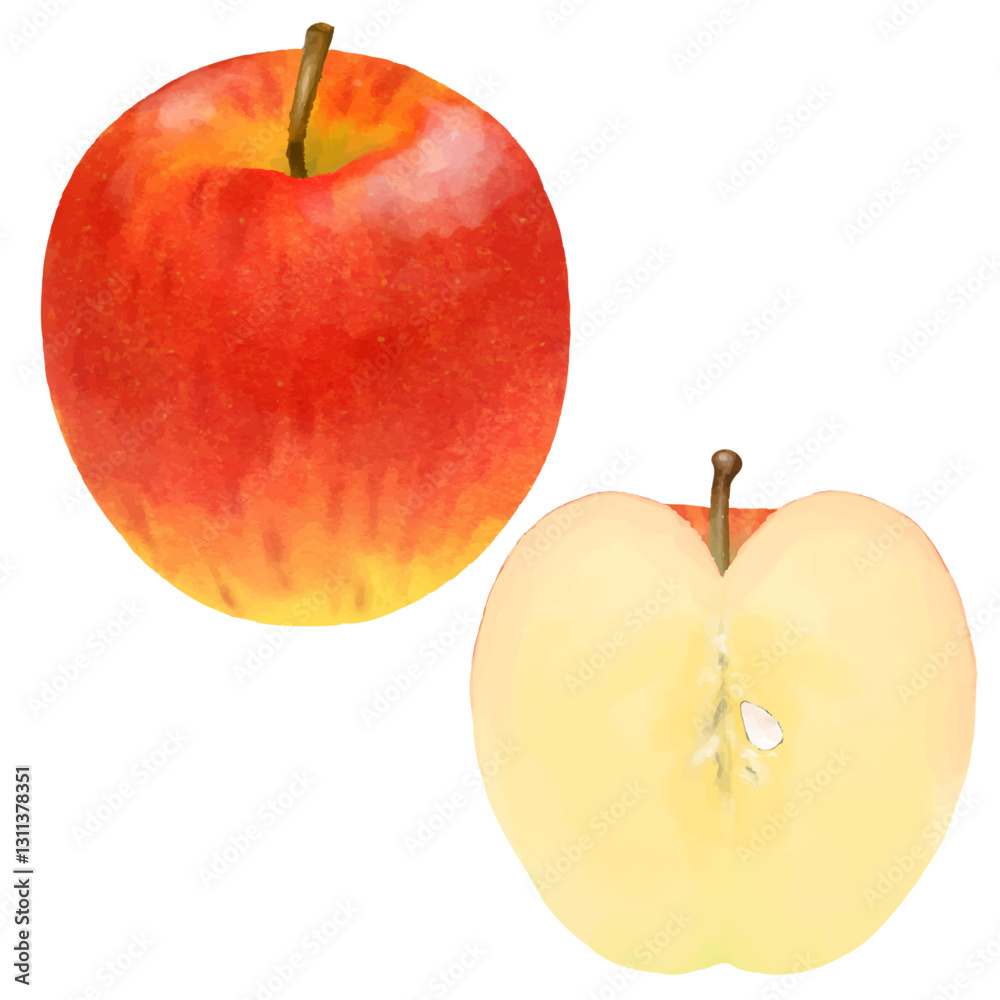 手描きりんご Stock Vector | Adobe Stock