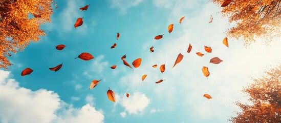 Poster - Falling orange and brown autumn leaves against a clear blue sky with fluffy white clouds creating a serene fall atmosphere