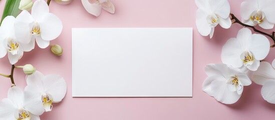 Poster - Pastel pink background featuring a blank horizontal card positioned centrally, surrounded by elegant white orchid flowers creating a romantic decor.