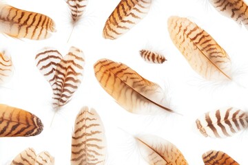 Leinwandbilder - Floating feathers create a dreamlike ambiance against a soft white background in high key photography