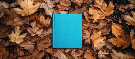 Poster - Blue notebook positioned centrally on a ground layer of rich brown autumn leaves creating a natural, seasonal background with ample copy space.