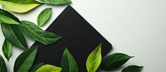 Aufkleber - Black notepad surrounded by vibrant green leaves on a soft white background creating a fresh and natural workspace aesthetic