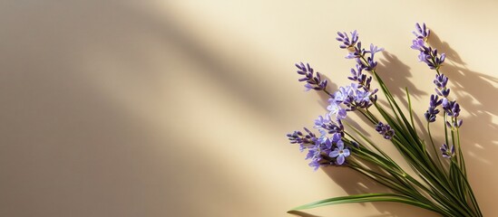 Poster - Lavender and spring scilla bouquet on a beige background with soft shadows creating an elegant mockup for a postcard or invitation design