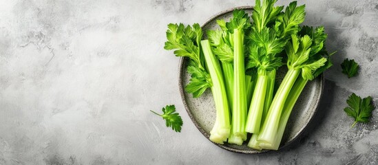 Aufkleber - Fresh green celery stalks arranged on a round dark plate against a soft light gray stone background with ample blank space for text above
