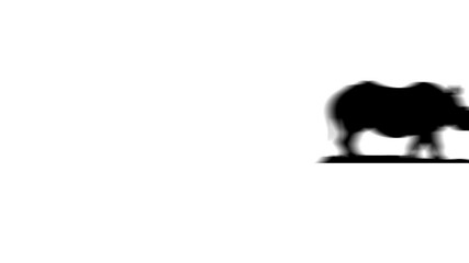 Poster - Animation set, wild rhino symbol. Animations: transparency, zooms, transition top to down, transition left to right, slide up to down, slide left to right