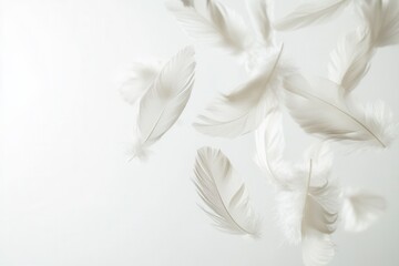 Poster - Soft, floating feathers create a dreamlike atmosphere against a serene white background in high key photography