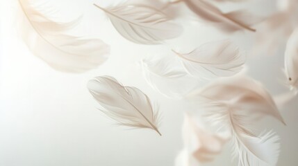 Leinwandbilder - Delicate floating feathers create a dreamlike sensation against a soft white background
