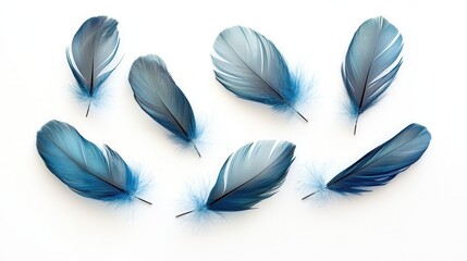 Poster - Floating feathers create a dreamlike atmosphere against a soft white background in high key photography
