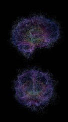 Poster - Complex multi-colored BRAIN data visualization of swirling particles forming a brain-like shape on a black background, evoking a futuristic, conceptual design