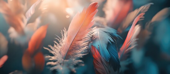 Leinwandbilder - Vibrant feathers in soft focus with shades of red blue and white floating softly in a dreamy background creating an ethereal and colorful backdrop