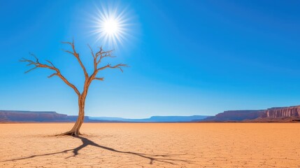 Poster - Climate change drought idea. A solitary tree stands against a bright blue sky in a vast desert landscape.