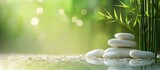 Serene spa composition with stacked white stones and lush green bamboo sprouts on a soft bokeh background offering ample space for text.