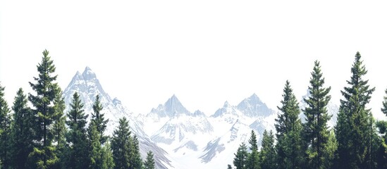 Wall Mural - Serene landscape featuring lush evergreen trees in the foreground with majestic snowy mountains in soft blue and white tones in the background.
