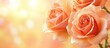 © Rasim - Delicate peach roses with soft petals arranged elegantly against a warm orange bokeh background creating a serene and romantic atmosphere